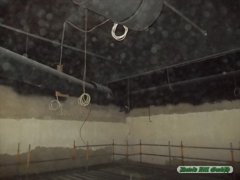 DSCN0545